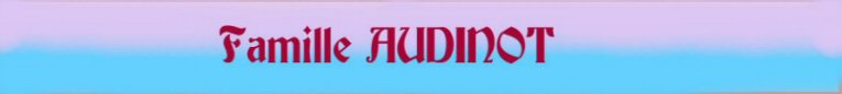 le site AUDINOT